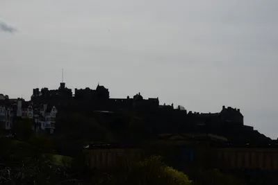 DSC_7393 (Large).JPG